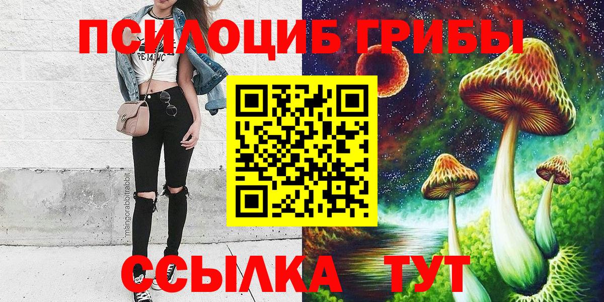 Галлюциногенные грибы прущие грибы  Вход с VPN  Псилоцибиновые грибы Psilocybine cubensis  где купить наркоту  Мичуринск 
