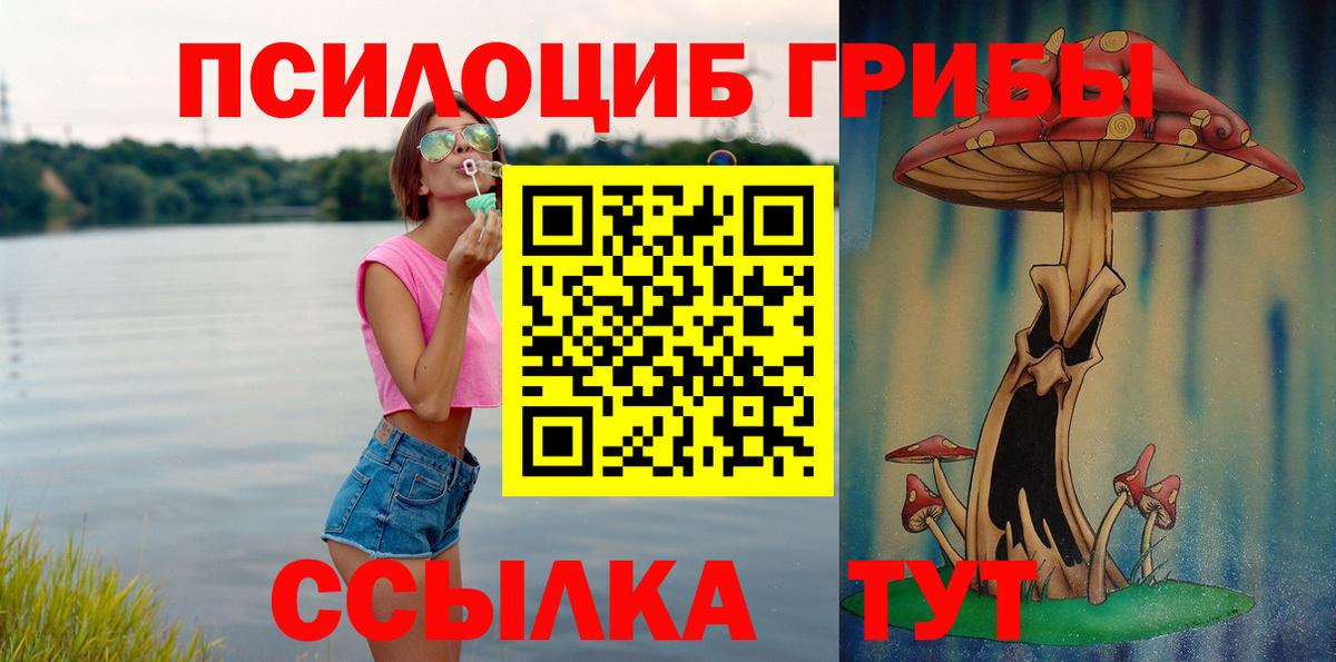 Псилоцибиновые грибы MAGIC MUSHROOMS Мичуринск